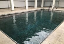 Nebris Postnişin ve Dionysos Kültü