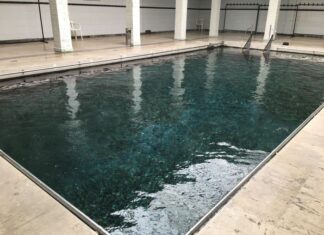 Nebris Postnişin ve Dionysos Kültü