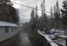 Diasparagmos Nebris ve Dans